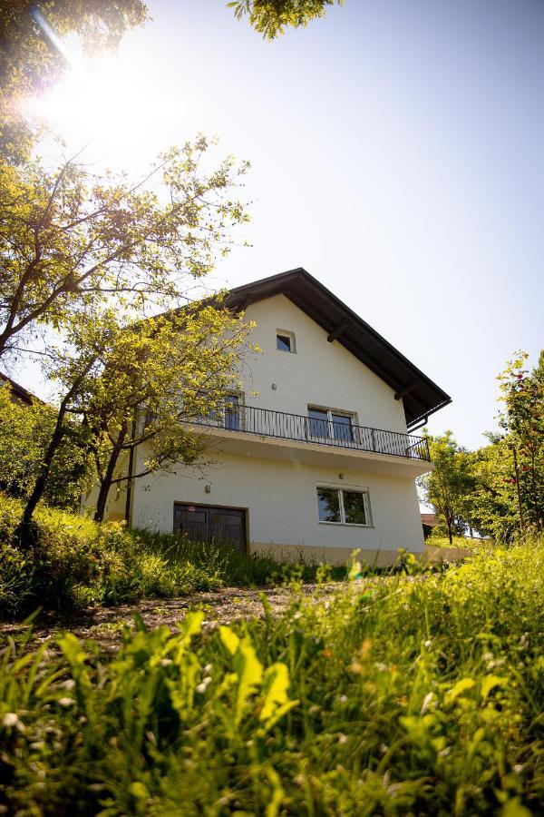 Rustic House In A Beautiful Village Cerklje ob Krki Екстериор снимка