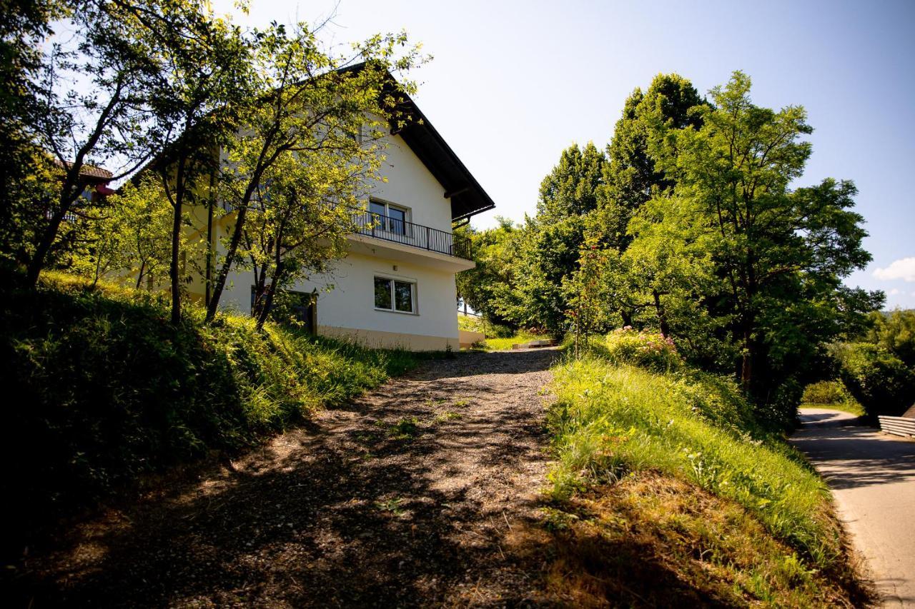 Rustic House In A Beautiful Village Cerklje ob Krki Екстериор снимка